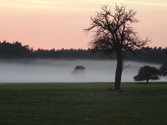Elfriede_Wissmueller_DSC01639 Nebelwand beim Sonnenuntergang - Elfriede Wißmüller, Schwarzenbruck-Lindelburg